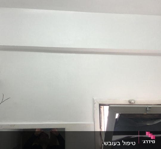 בסיום העבודה , צבוע יפה והעובש כמובן לא נראה